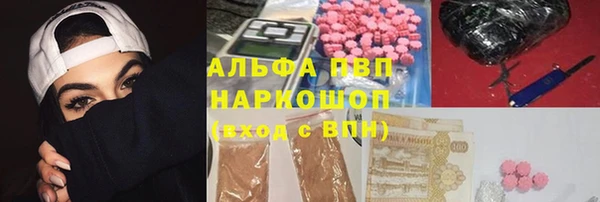 ешки Аркадак