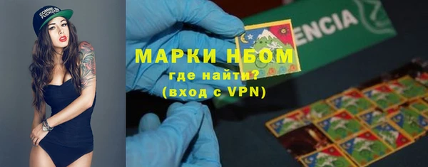 ешки Аркадак