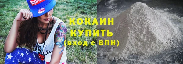 ешки Аркадак