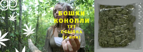 ешки Аркадак