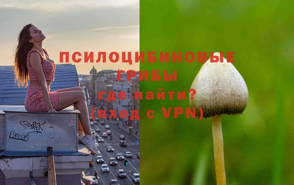 ешки Аркадак